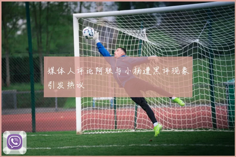 媒体人评论阿联与小杨遭黑评现象引发热议